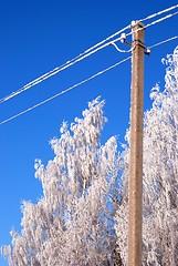 Image showing Frost crystals 