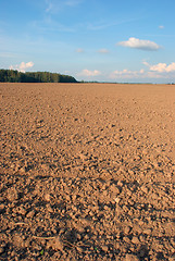 Image showing Arable land area 