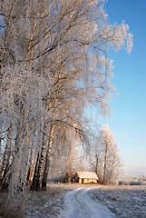 Image showing Winter road 