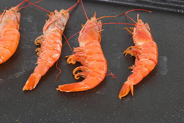 Image showing Cooking prawns