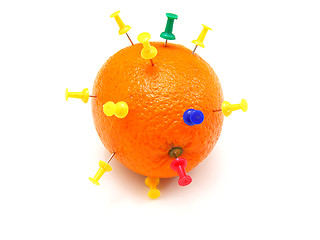 Image showing Isolated colourful office pins thrust in an orange