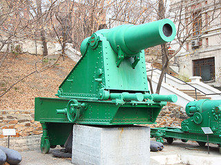 Image showing A line of historical cannons on grass.