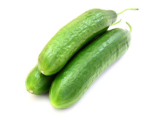Image showing The fresh green cucumber 