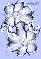 Image showing Flowers from water drops
