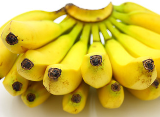 Image showing Bunch of bananas isolated on white background