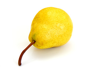 Image showing A single pear