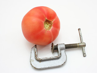 Image showing Tomato and clamp