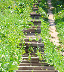 Image showing The wooden ladder is located a hill slope