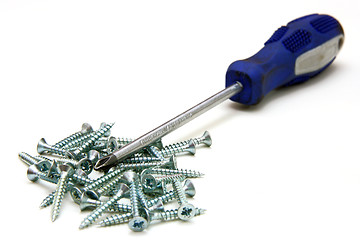 Image showing Screwdriver and small metal screws on a white background