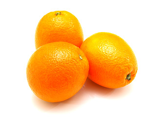 Image showing Three ripe oranges lie nearby on a white background