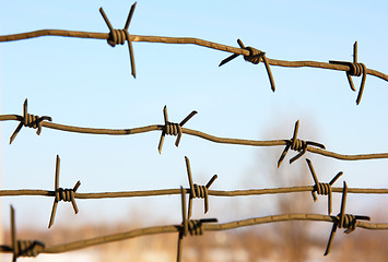 Image showing barbed wires against blue sky.