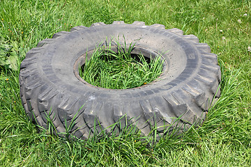 Image showing old automobile wheels on a green grass