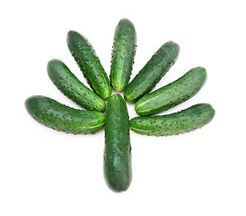 Image showing Cucumbers in the form of a green tree