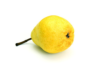 Image showing A single pear 