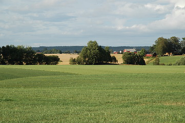 Image showing Farming landscape