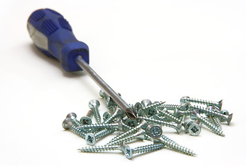 Image showing Screwdriver and small metal screws on a white background
