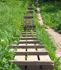 Image showing The wooden ladder is located a hill slope