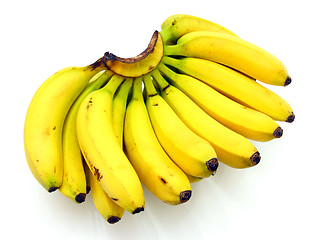 Image showing Bunch of bananas isolated on white background