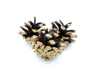 Image showing Pine cones