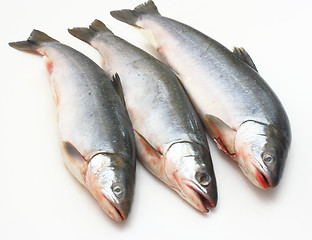 Image showing Fresh fish