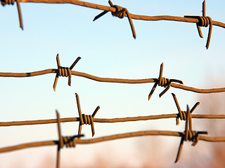 Image showing barbed wires against blue sky.