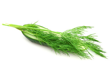 Image showing a cucumber with the cut half lying on a dill