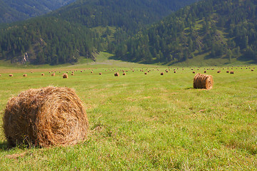 Image showing hay rolls in the background of mountains
