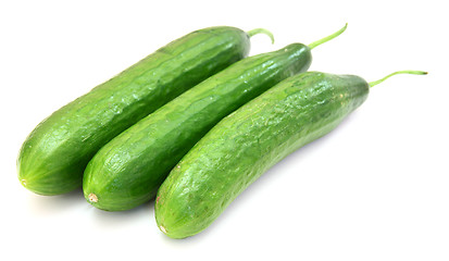 Image showing The fresh green cucumber 