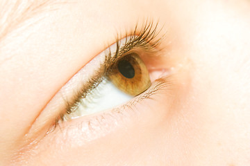 Image showing close up of eye