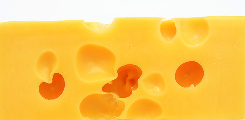 Image showing piece of cheese 