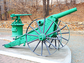 Image showing A line of historical cannons on grass.