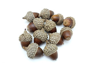 Image showing Three acorns on a white.