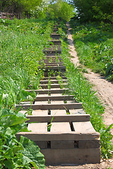 Image showing The wooden ladder is located a hill slope