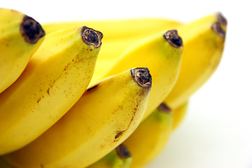 Image showing Bunch of bananas isolated on white background