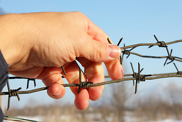 Image showing Hand of prison and sky background