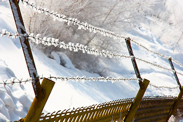 Image showing Barbed wire in hoarfrost 