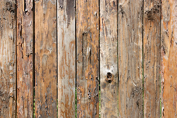 Image showing Old Wood Background