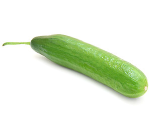 Image showing The fresh green cucumber 