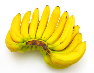 Image showing Bunch of bananas isolated on white background