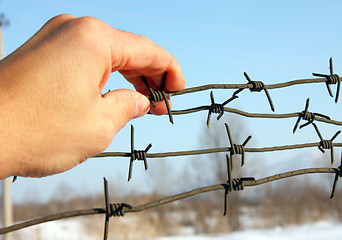 Image showing Hand of prison and sky background