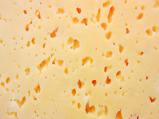 Image showing piece of cheese 