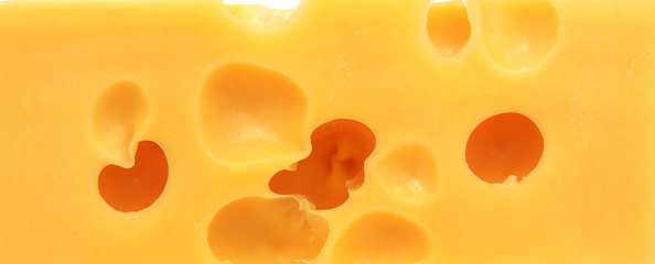 Image showing piece of cheese