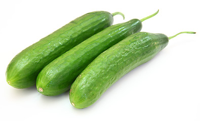 Image showing The fresh green cucumber 