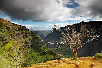 Image showing Summer Landscape at Waimea Canyon