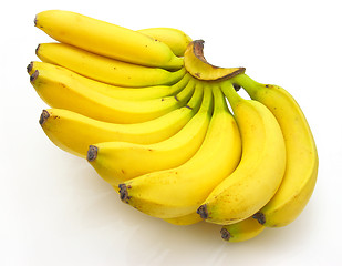 Image showing Bunch of bananas isolated on white background