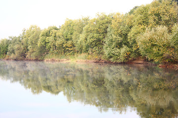 Image showing blue lake with colorful wood 