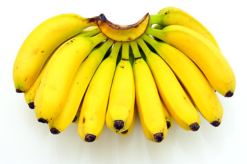 Image showing Bunch of bananas isolated on white background