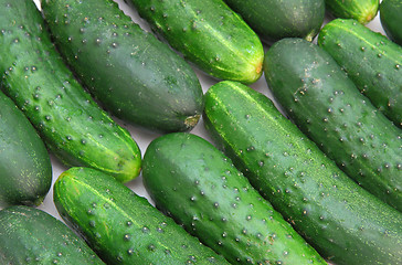 Image showing Cucumbers isolated on white background