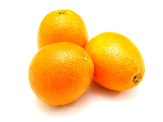 Image showing Three ripe oranges lie nearby on a white background
