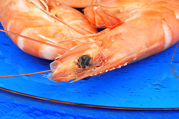 Image showing Boiled shrimps close-up